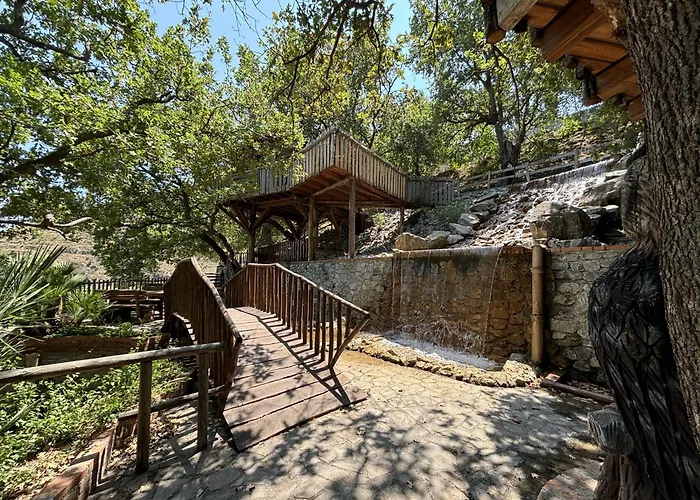 Le casette sull'albero di VILLA ALBA