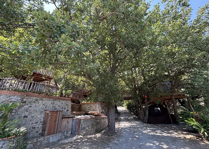 Le casette sull'albero di VILLA ALBA